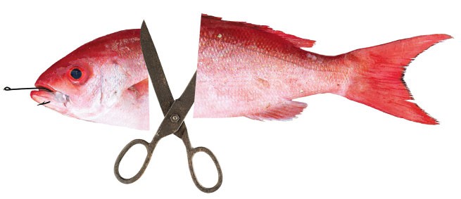 Cut Fish 2.jpg